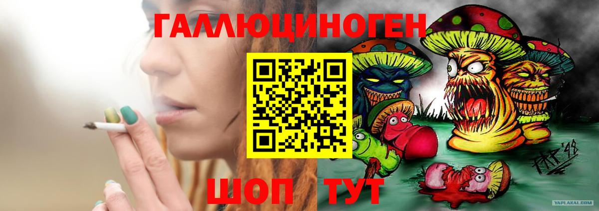 Галлюциногенные грибы Cubensis Чистополь